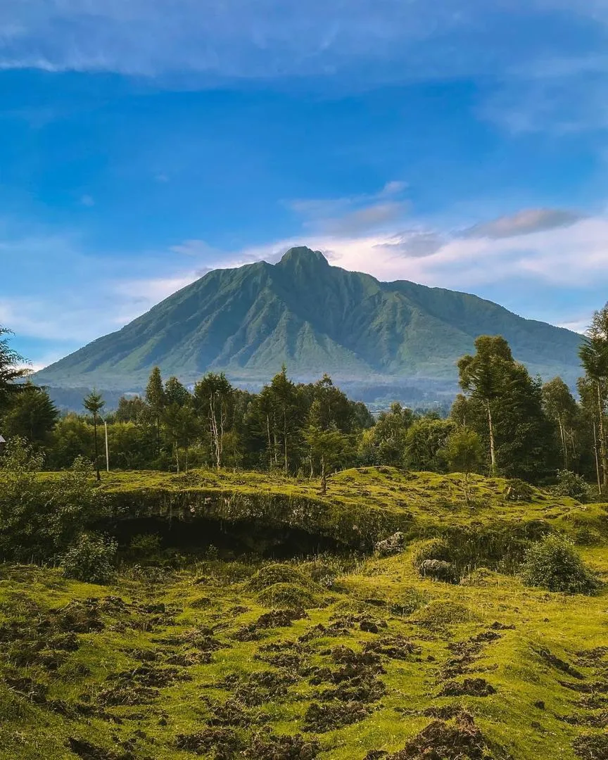 Golden Monkey Trekking Getaway in Rwanda